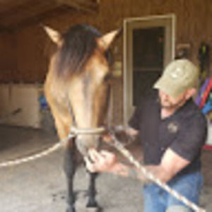 Meet your Posher, Wesley